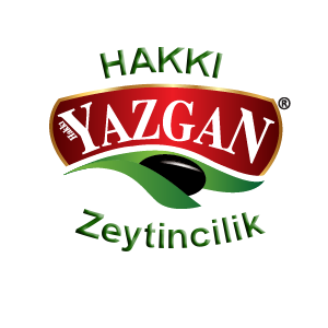 Hakkı Yazgan Zeytincilik